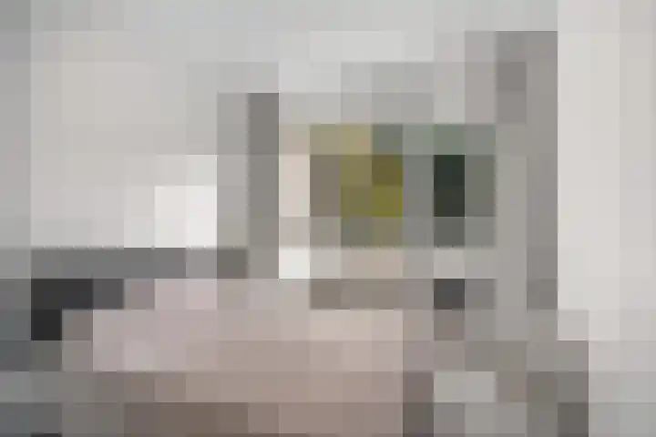 Kortekade 31 A Rotterdam thumbnail 20