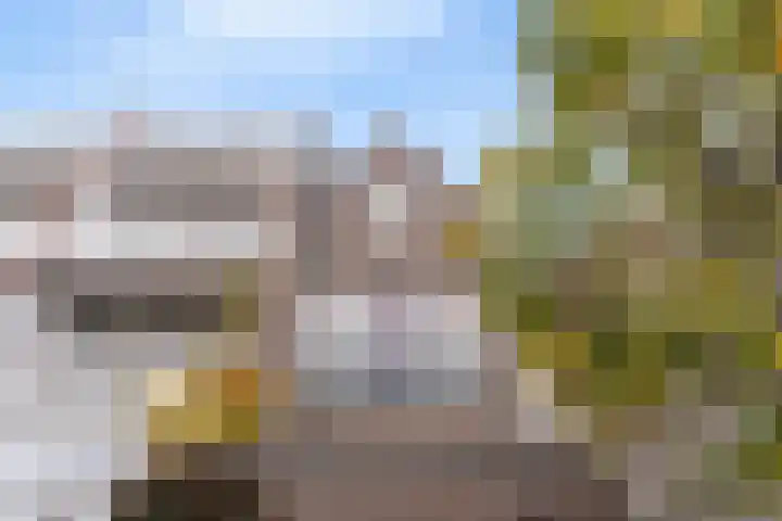 Kortekade 31 A Rotterdam thumbnail 33