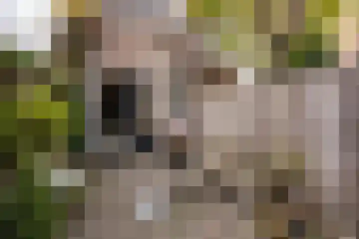 Kortekade 31 A Rotterdam thumbnail 9