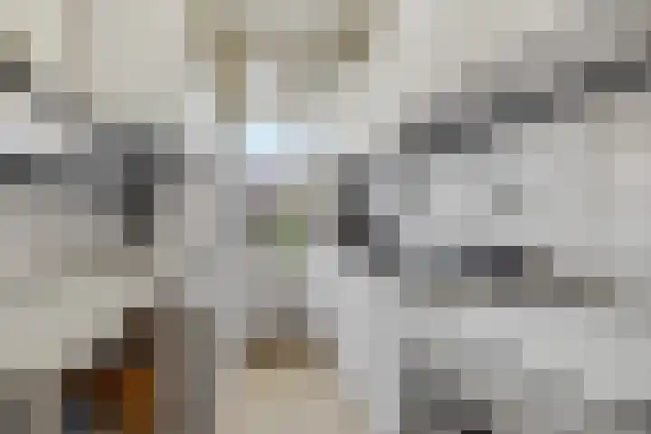 Kortekade 40 B 01 Rotterdam thumbnail 11