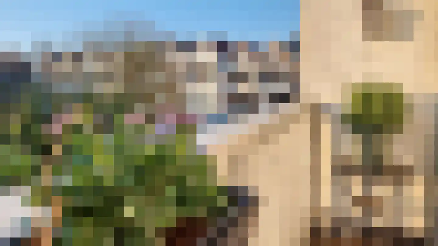 Kortekade 40 B 01 Rotterdam thumbnail 11