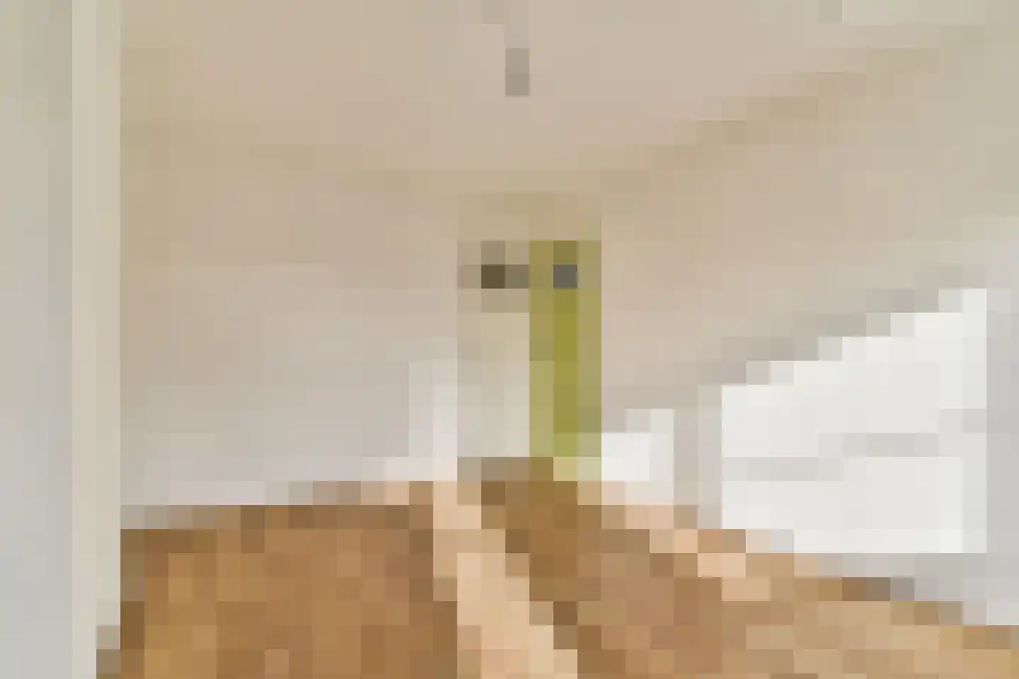 Kortekade 40 B 01 Rotterdam thumbnail 23