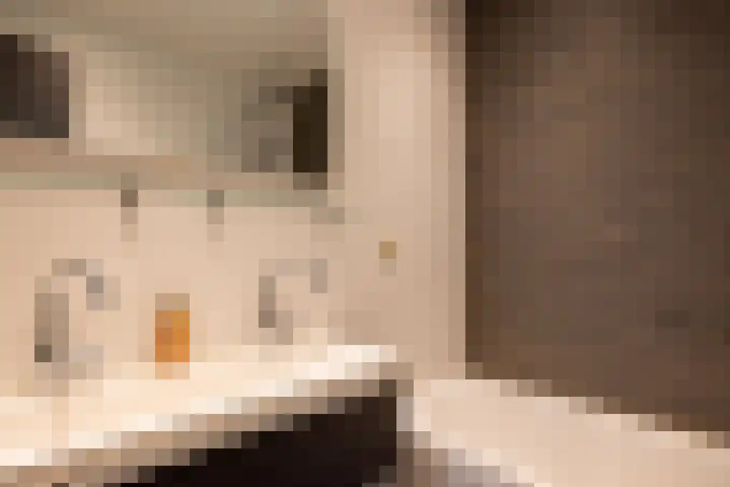 Kortekade 42 A Rotterdam thumbnail 20