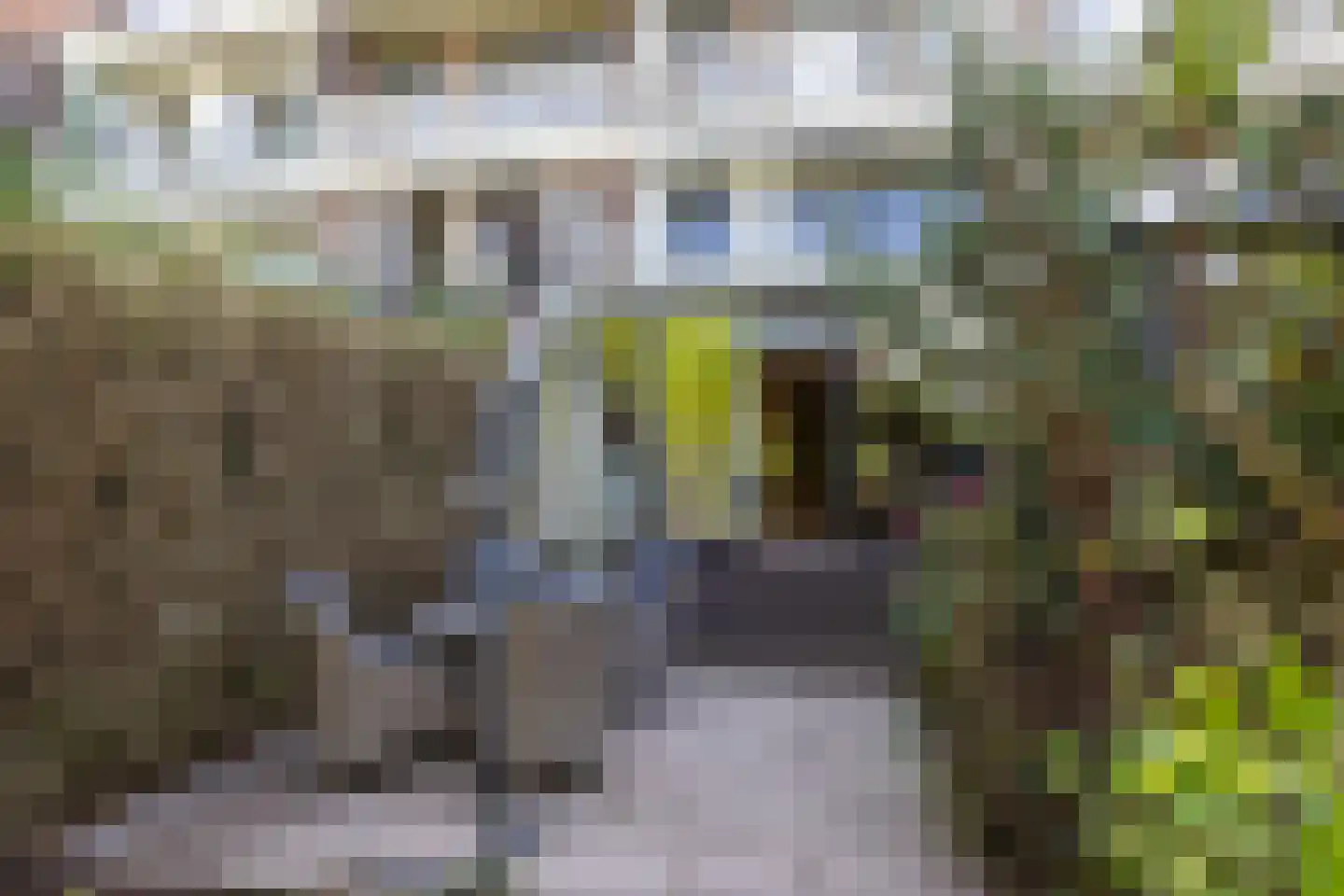 Kortekade 42 A Rotterdam thumbnail 22