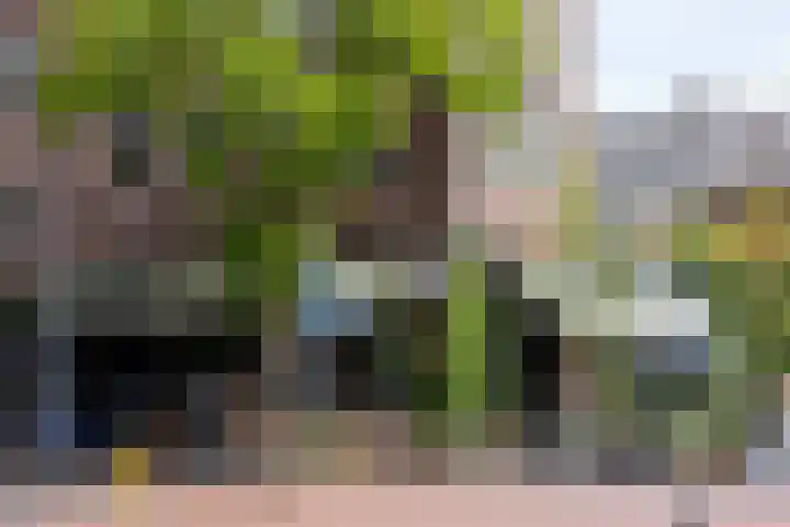 Kortekade 42 B 02 Rotterdam thumbnail 5