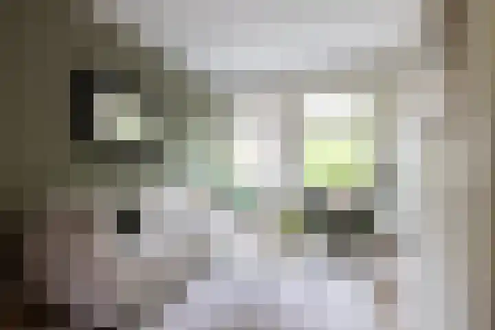 Kortekade 42 B 02 Rotterdam thumbnail 6