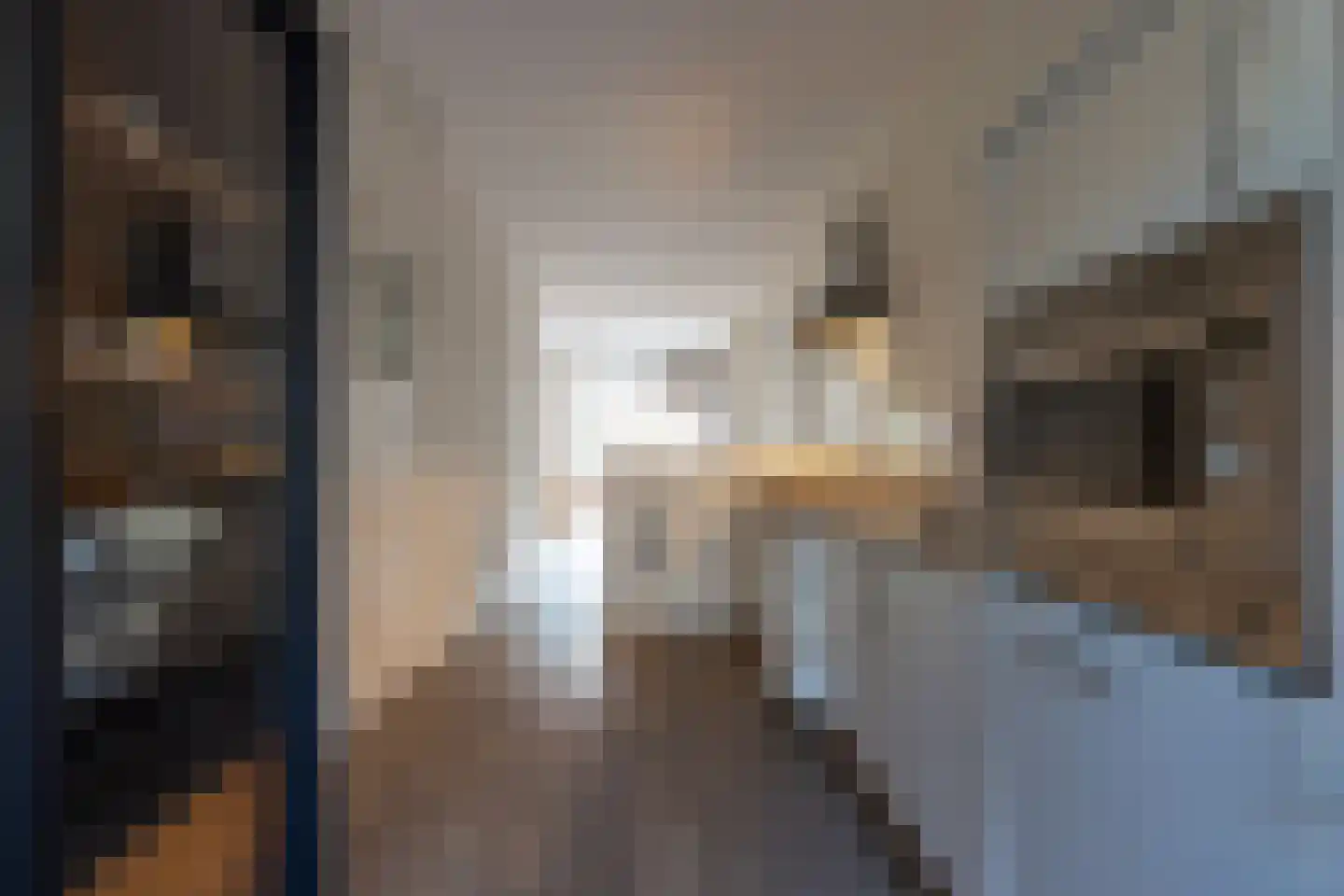 Kortekade 45 B Rotterdam thumbnail 12