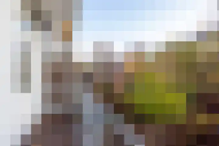 Kortekade 45 B Rotterdam thumbnail 21