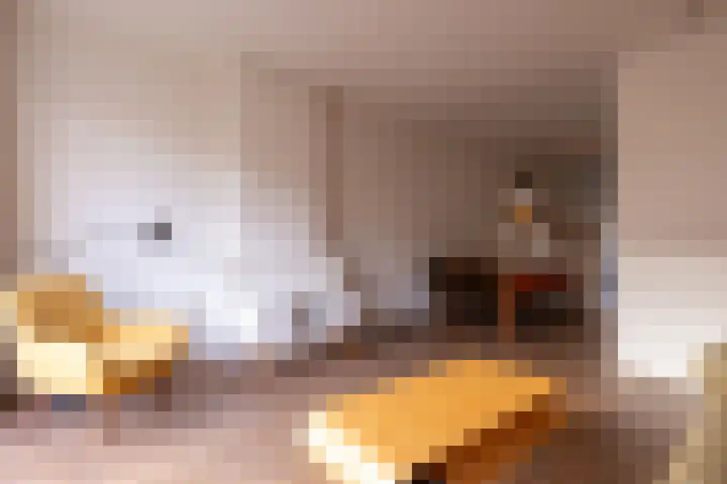Kortekade 45 B Rotterdam thumbnail 9