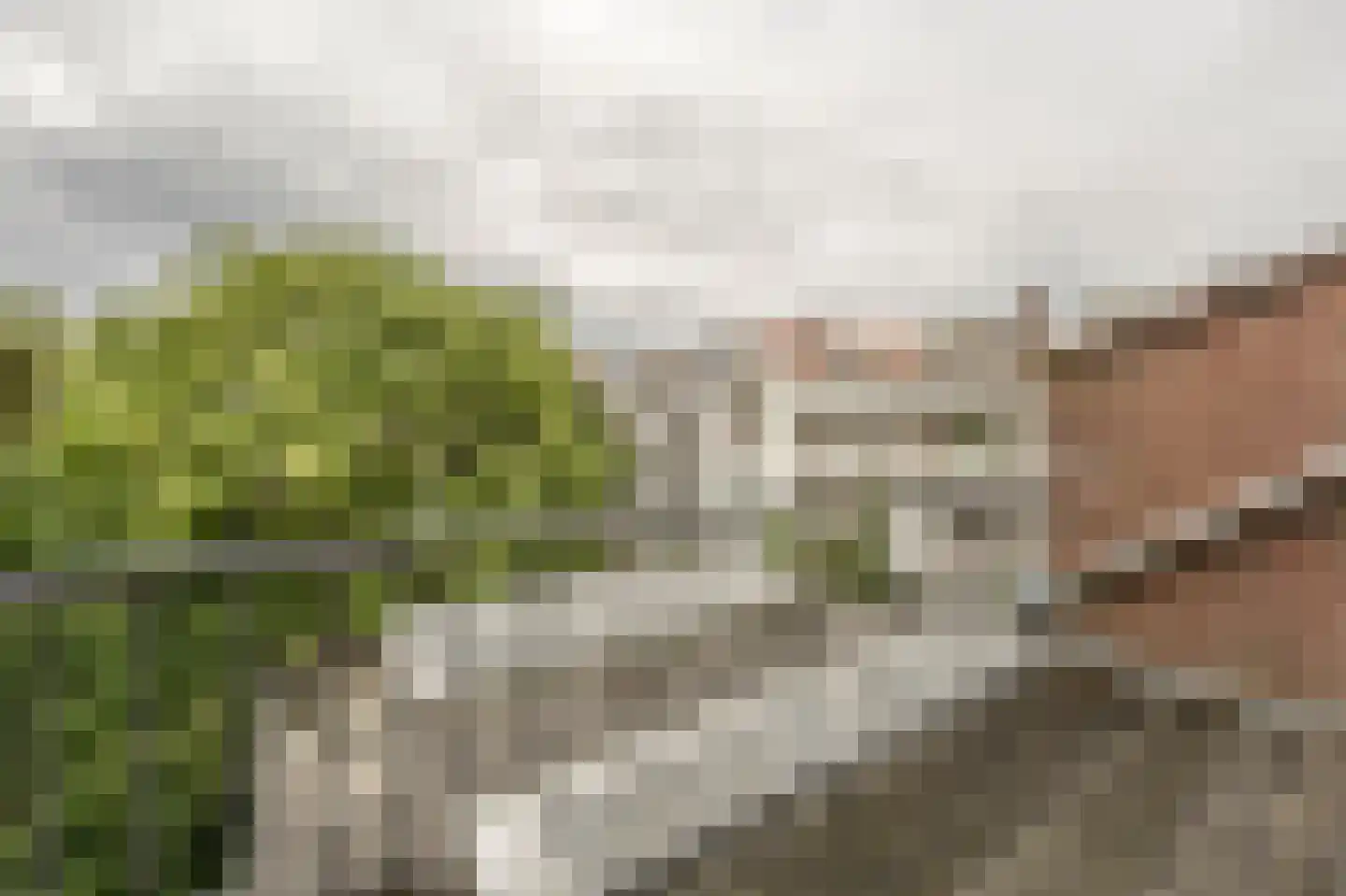 Kortekade 48 A 02 Rotterdam thumbnail 12
