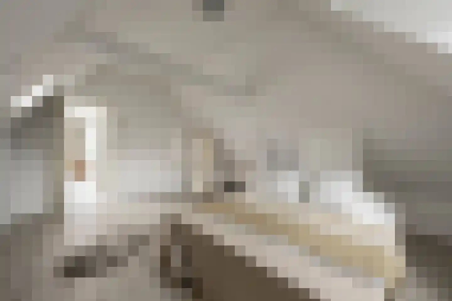 Kortekade 48 A 02 Rotterdam thumbnail 22