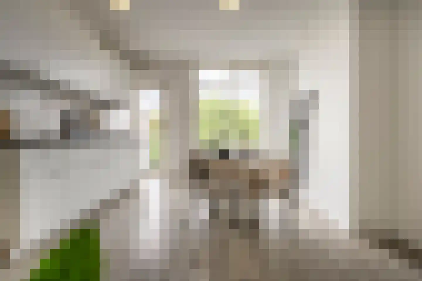 Kortekade 48 A 02 Rotterdam thumbnail 8