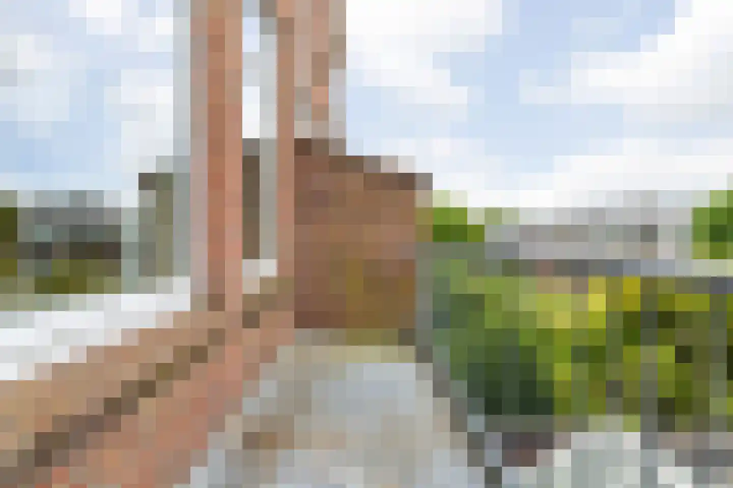 Kortekade 50 B02 Rotterdam thumbnail 12