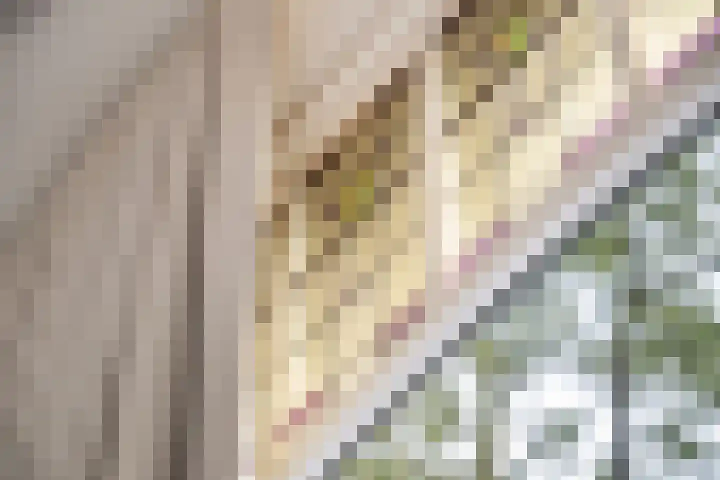 Kortekade 62 A Rotterdam thumbnail 14