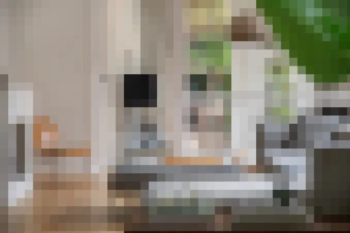 Kortekade 62 A Rotterdam thumbnail 15