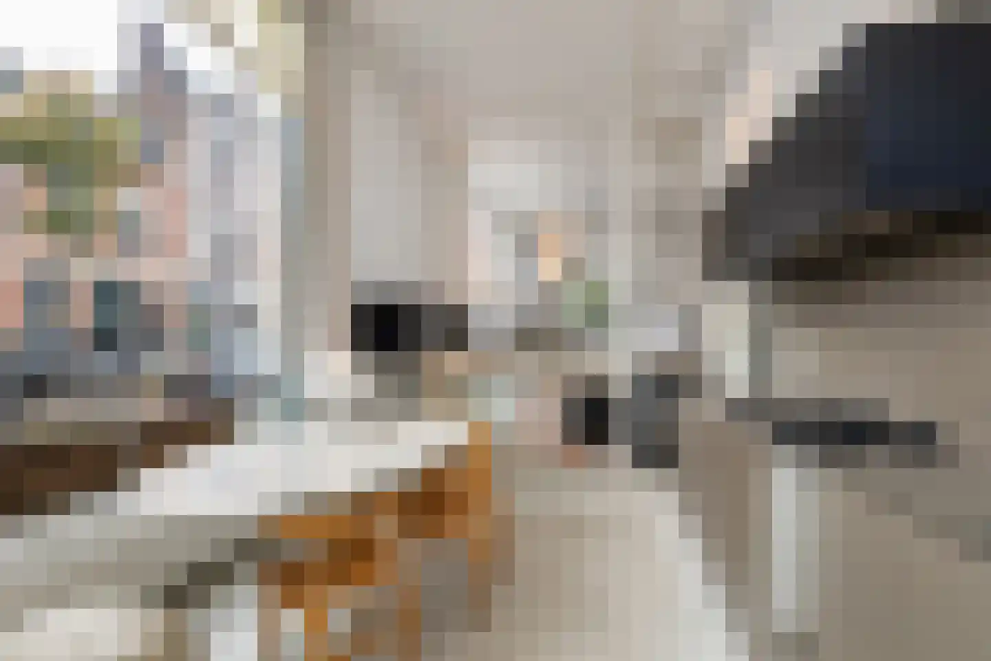 Kortekade 62 A Rotterdam thumbnail 7