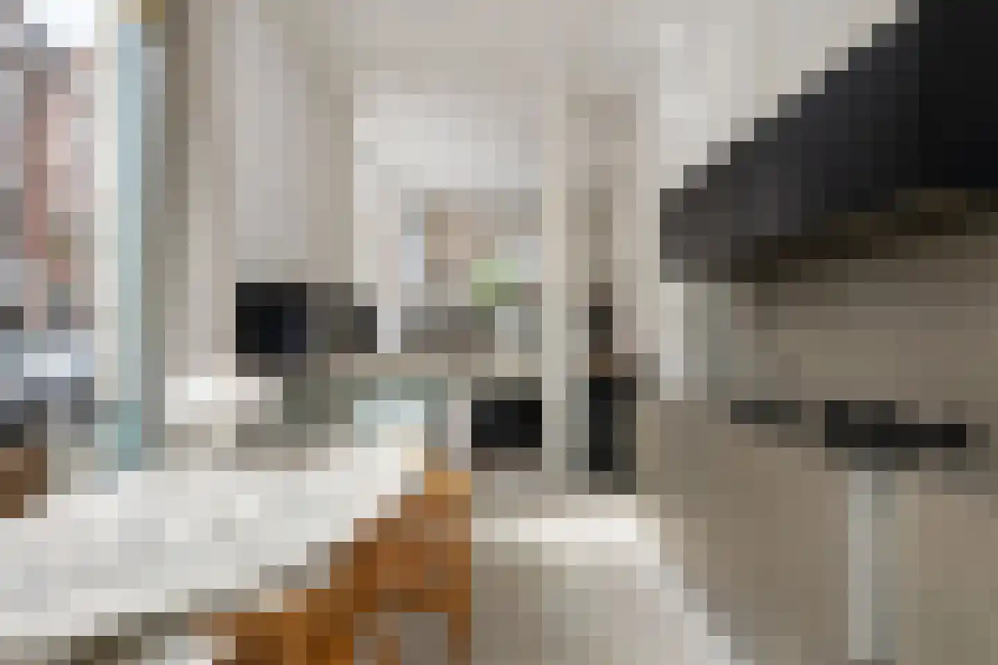 Kortekade 62 A Rotterdam thumbnail 9