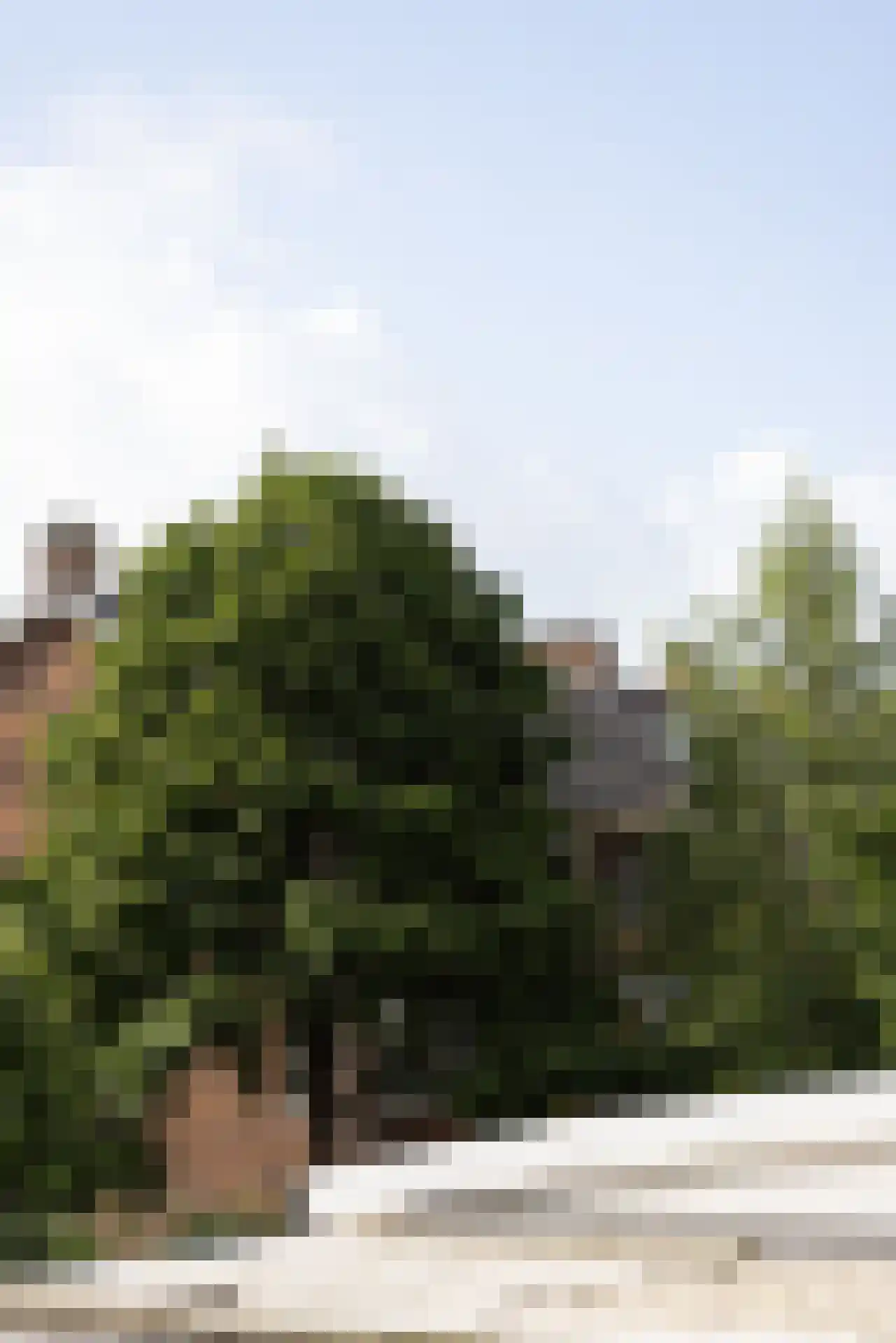 Kortekade 71 A 01 Rotterdam thumbnail 16