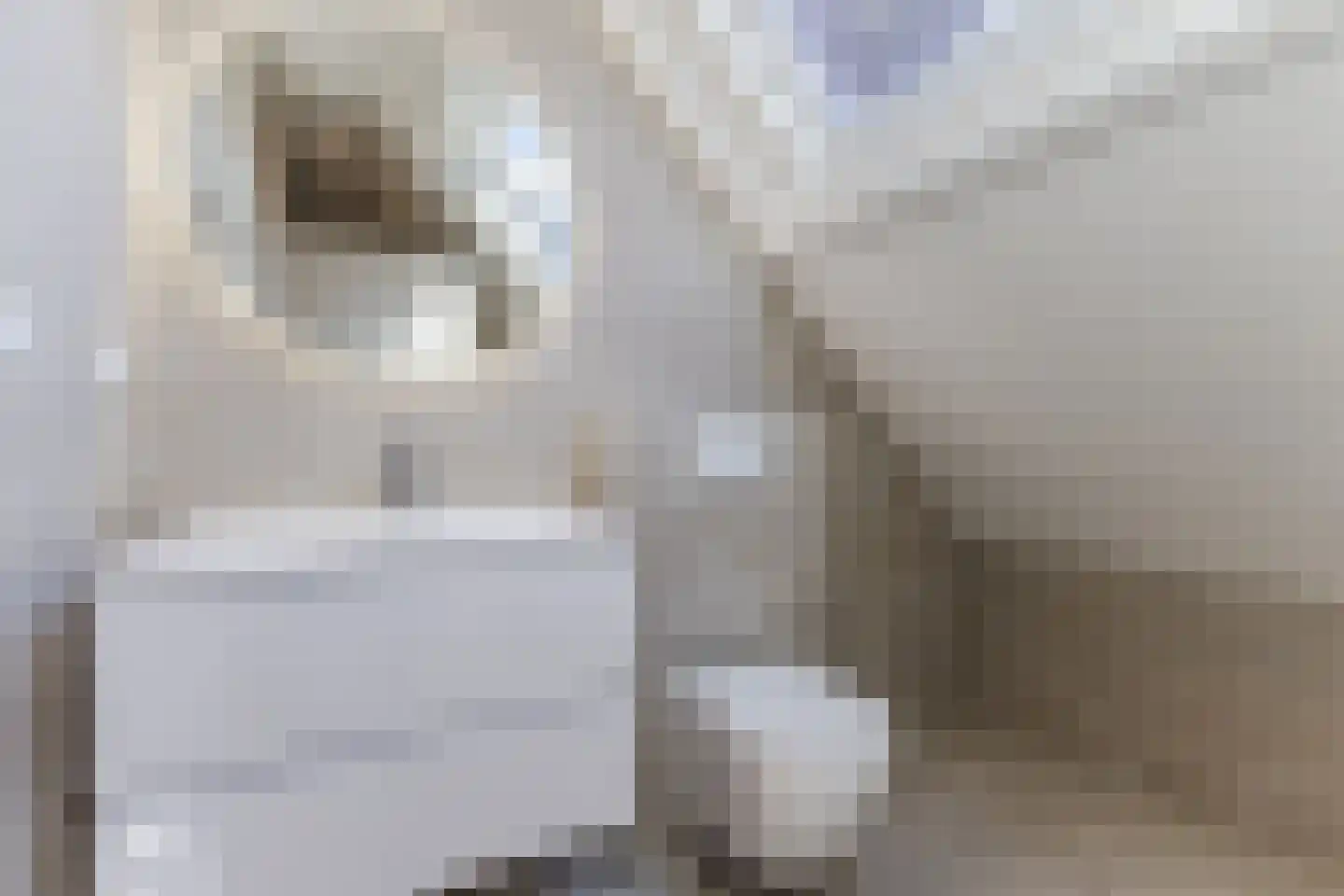 Kortekade 79 A Rotterdam thumbnail 33