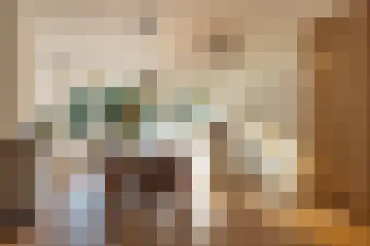 Kortekade 97 B Rotterdam thumbnail 14