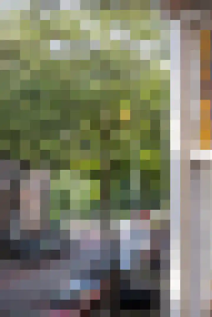 Kortekade 97 B Rotterdam thumbnail 25
