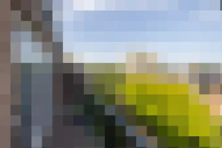 Kortekade 97 B Rotterdam thumbnail 33