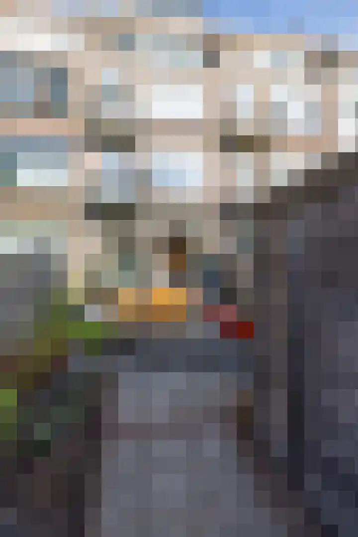 Kortekade 97 B Rotterdam thumbnail 44