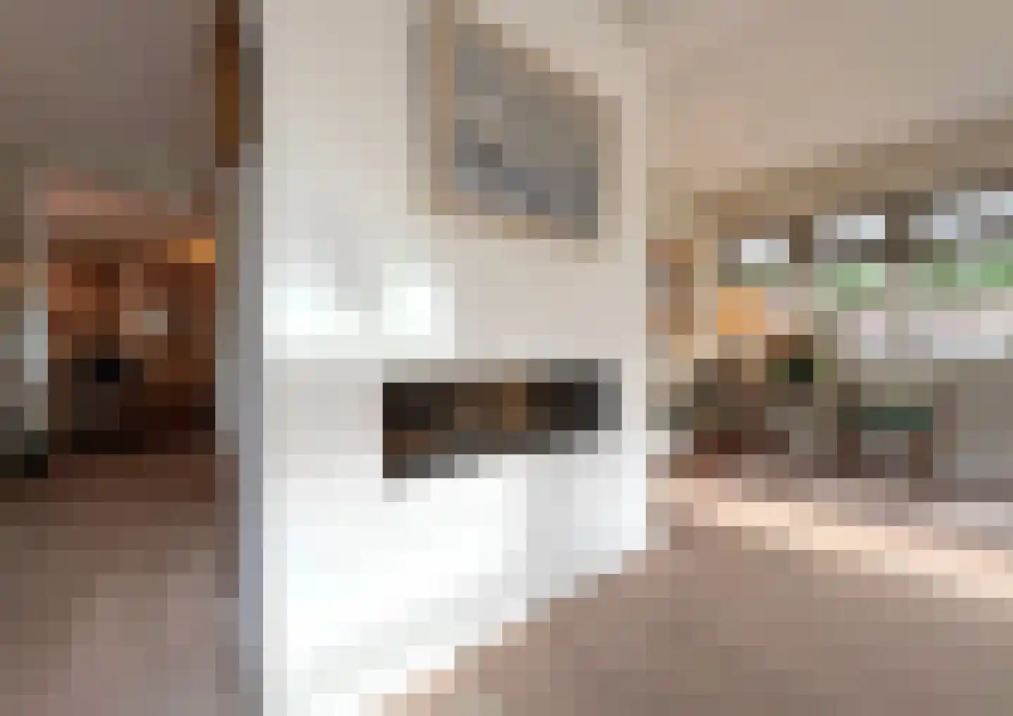 Kortelaan 1 Barneveld thumbnail 13