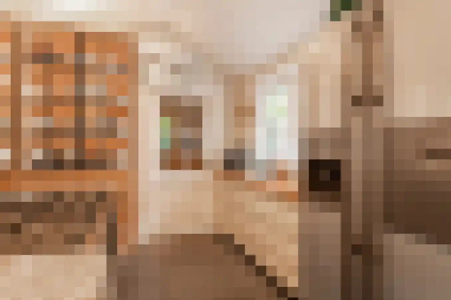 Kortelaan 1 Barneveld thumbnail 18