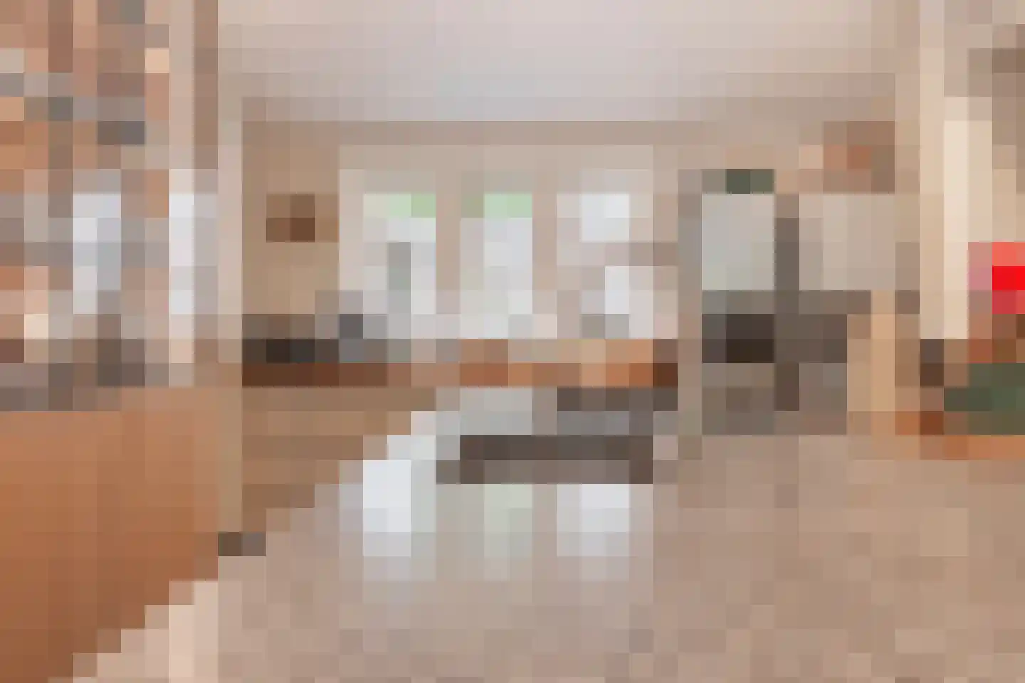 Kortelaan 1 Barneveld thumbnail 20