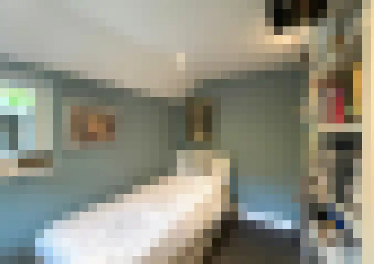 Kortelaan 1 Barneveld thumbnail 22