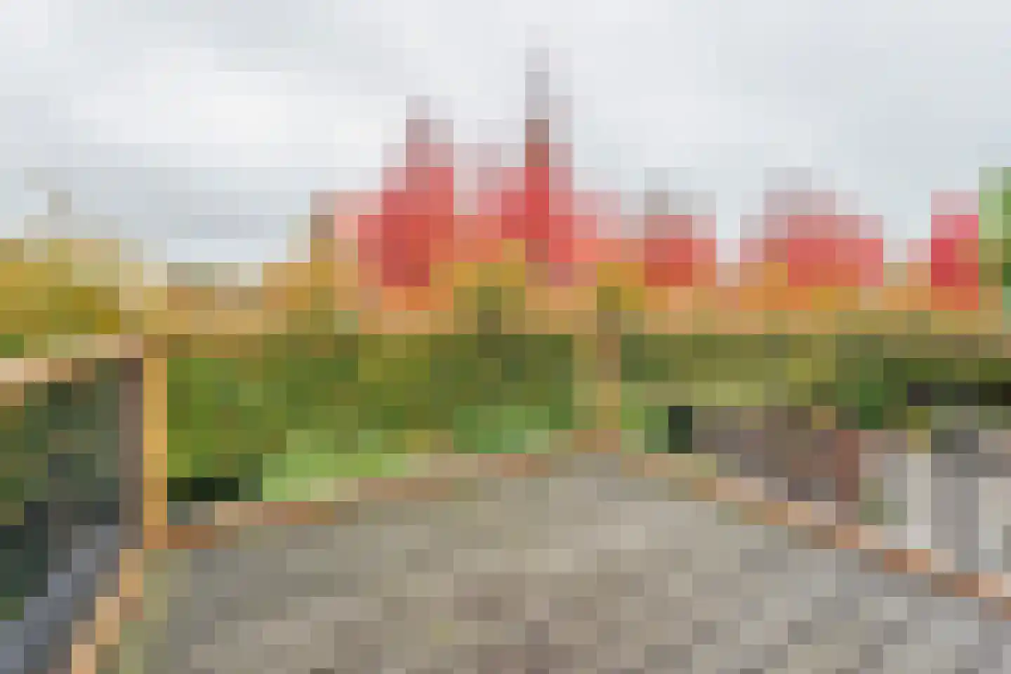 Kortelaan 1 Barneveld thumbnail 28