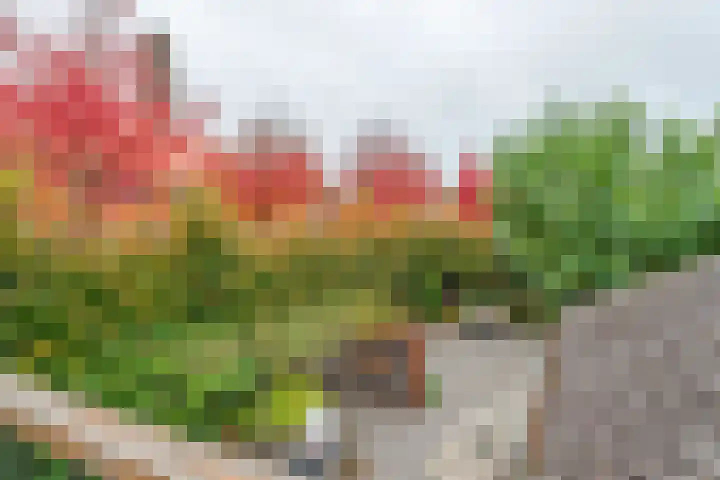 Kortelaan 1 Barneveld thumbnail 29