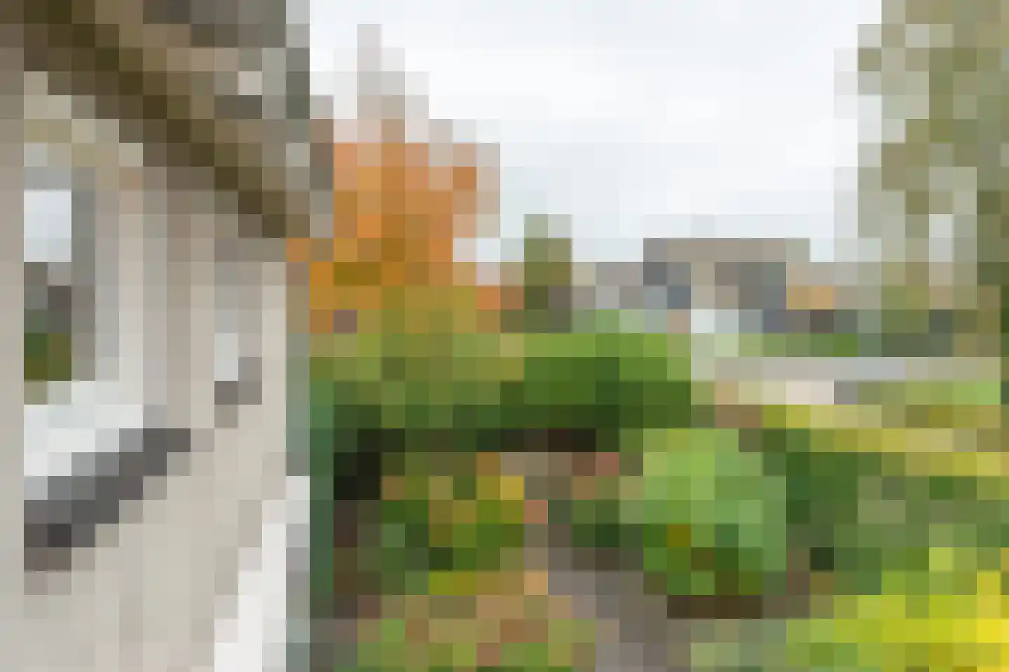 Kortelaan 1 Barneveld thumbnail 30