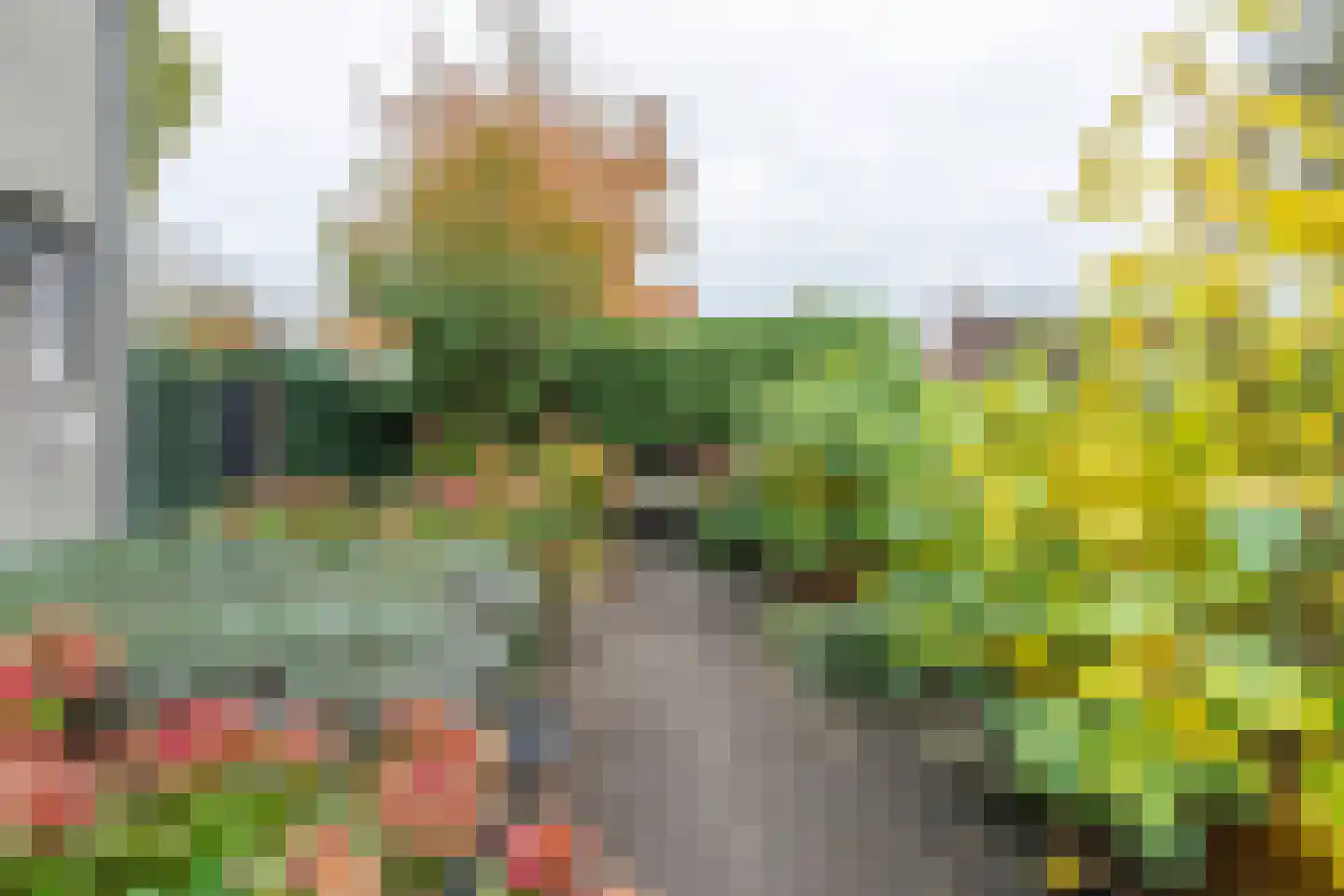 Kortelaan 1 Barneveld thumbnail 41