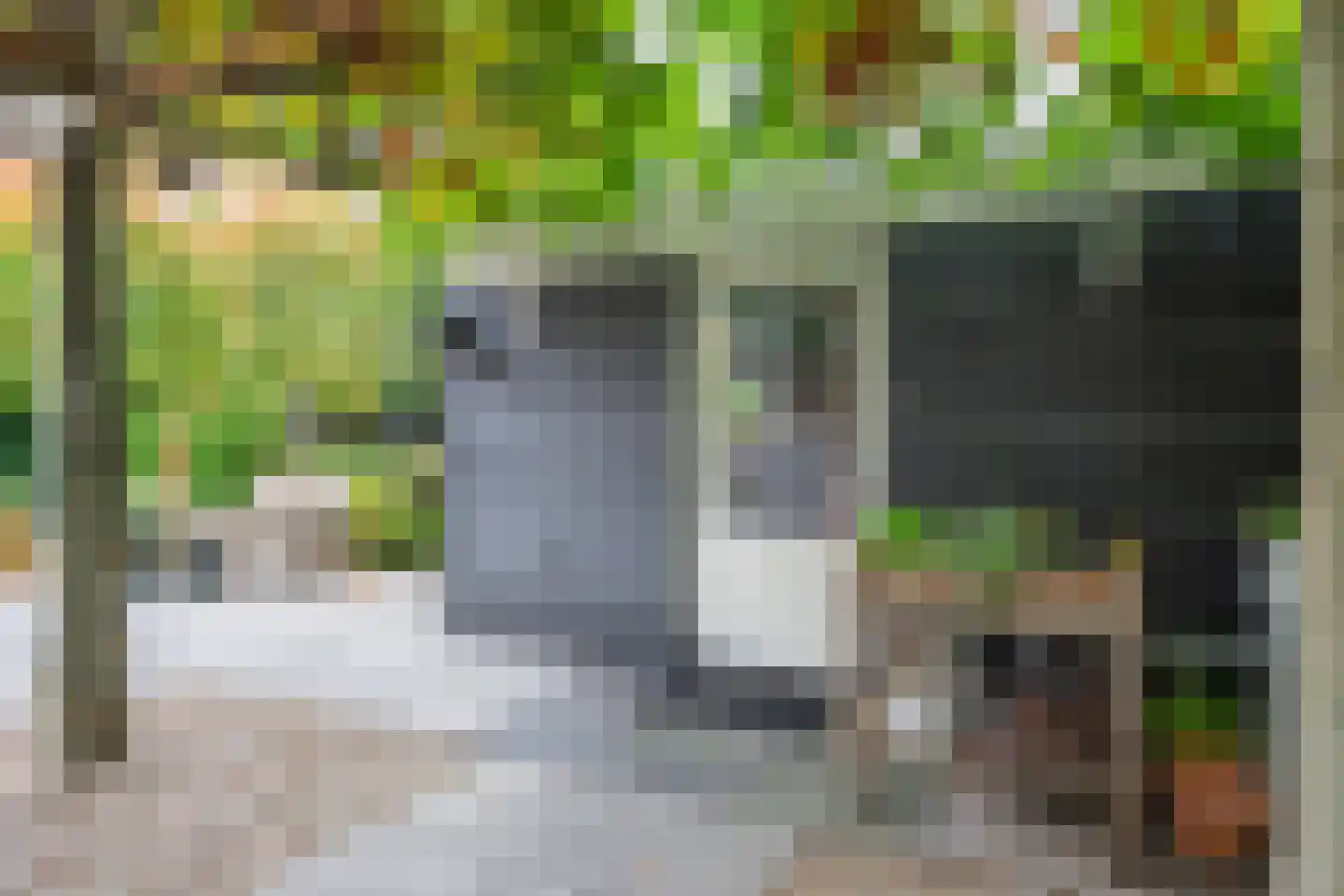Kortelaan 1 Barneveld thumbnail 44