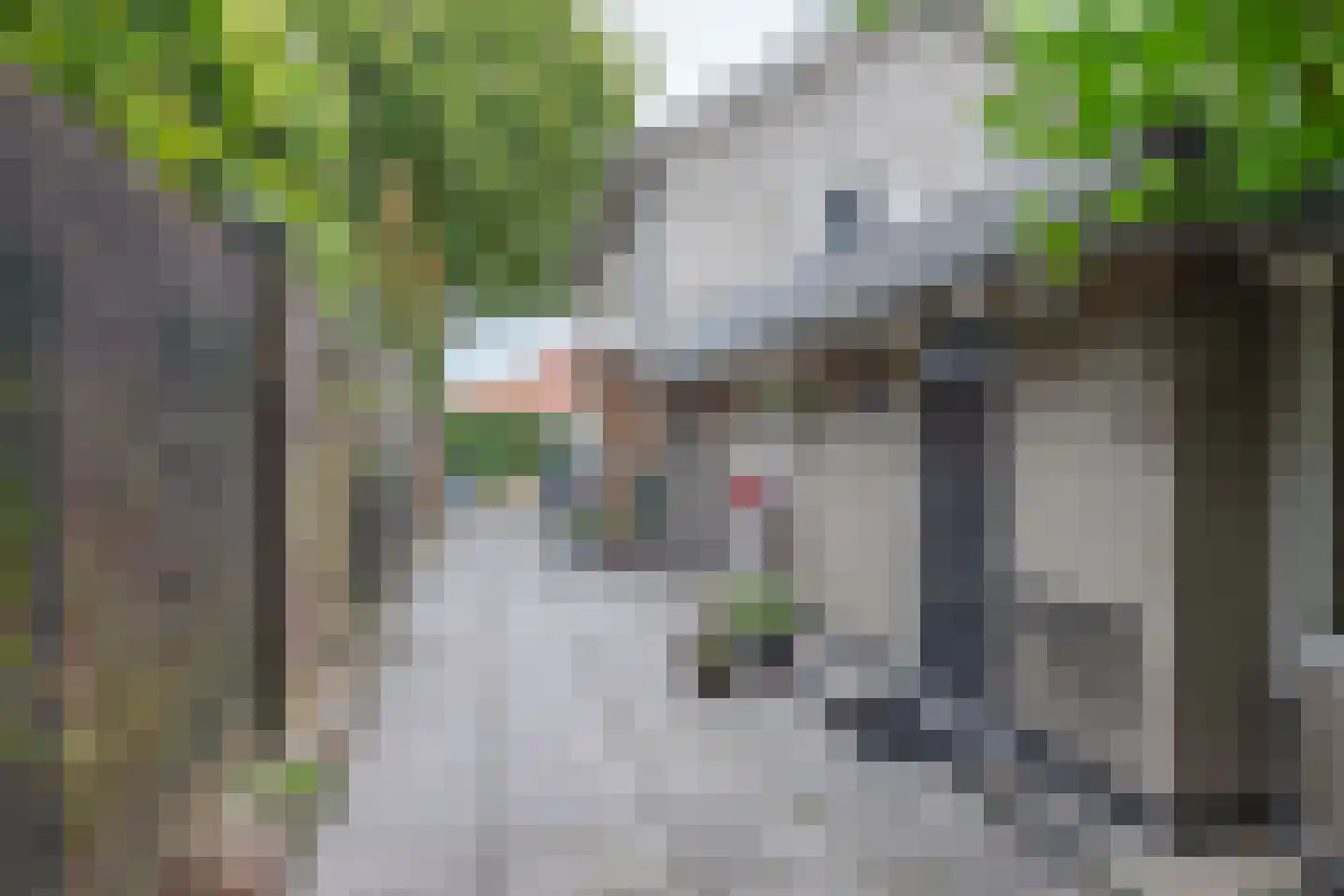 Kortelaan 1 Barneveld thumbnail 46