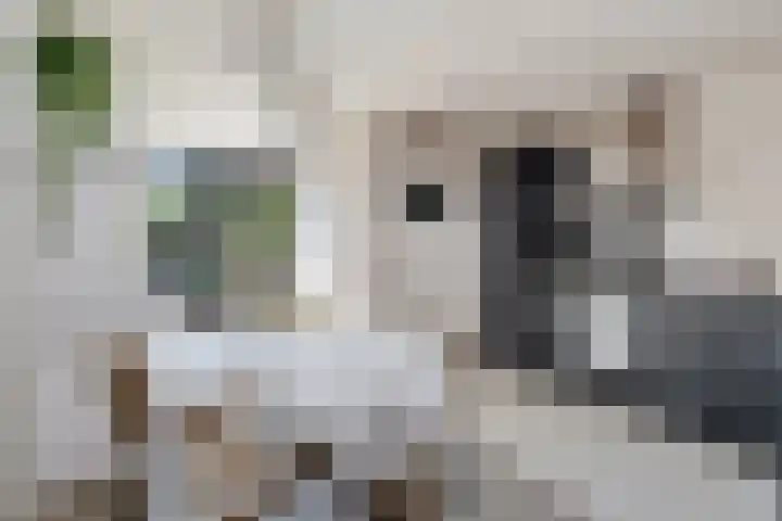 Kortelaan 42 Maarssen thumbnail 11