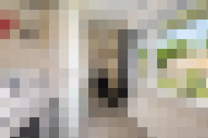 Kortelaan 42 Maarssen thumbnail 22