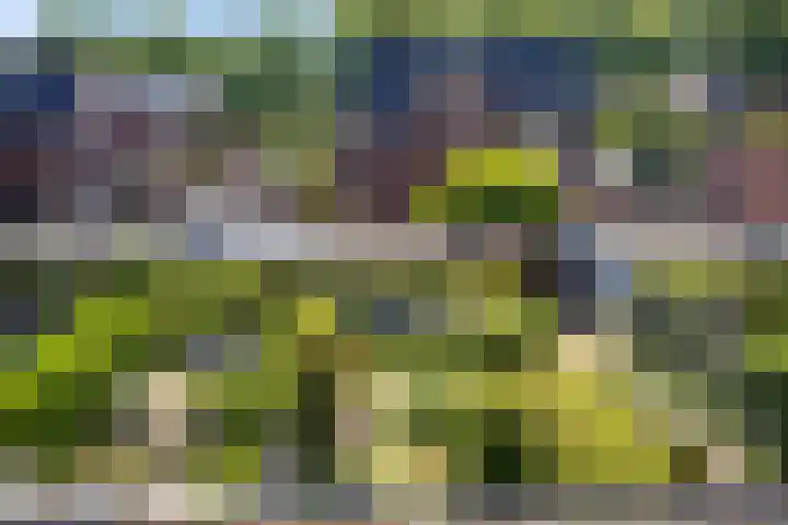 Kortelaan 42 Maarssen thumbnail 24