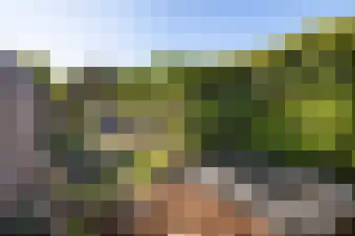 Kortelaan 42 Maarssen thumbnail 30