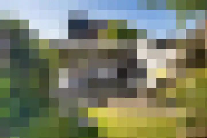 Kortelaan 42 Maarssen thumbnail 32
