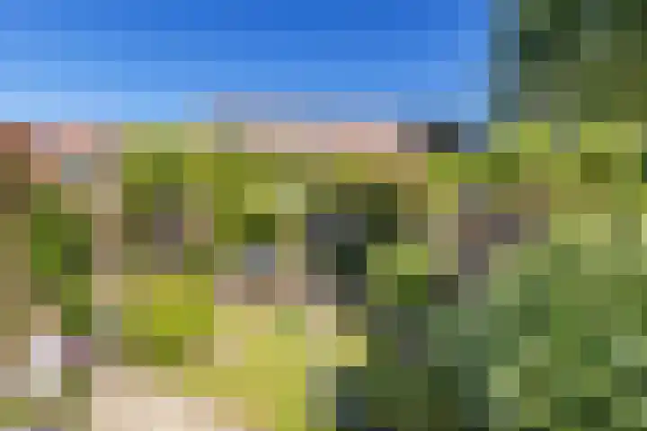 Kortelaan 42 Maarssen thumbnail 33