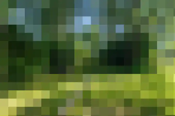 Kortelaan 42 Maarssen thumbnail 35