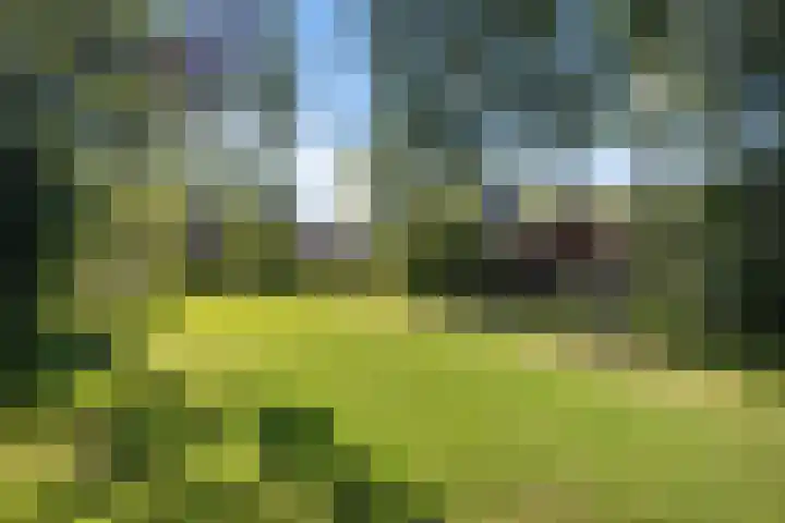 Kortelaan 42 Maarssen thumbnail 36