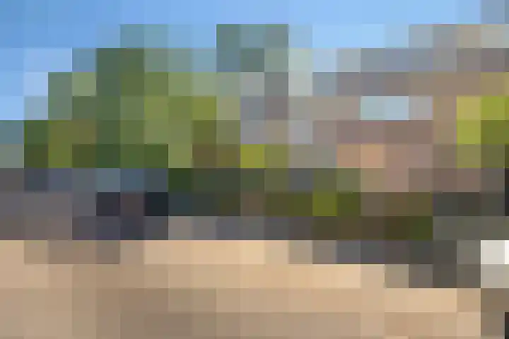 Kortelaan 42 Maarssen thumbnail 4