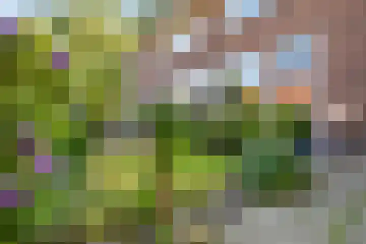 Kortelaan 42 Maarssen thumbnail 5