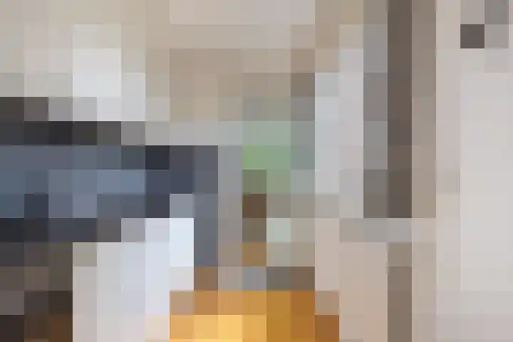 Kortelaan 49 Maarssen thumbnail 11