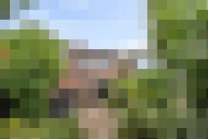 Kortelaan 49 Maarssen thumbnail 24