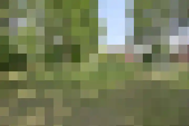 Kortelaan 49 Maarssen thumbnail 26